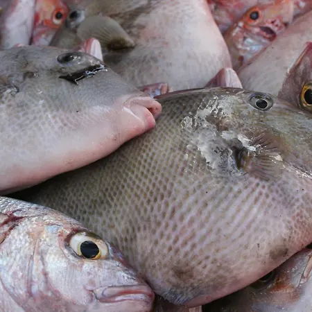 La Casa De La Playa *