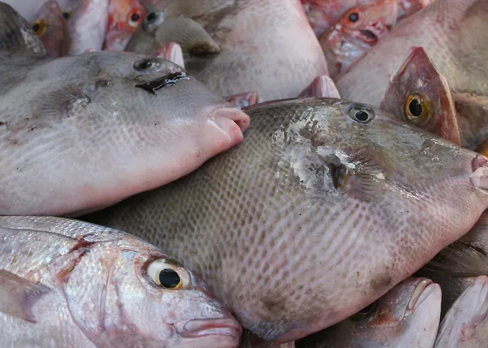 La Casa De La Playa *